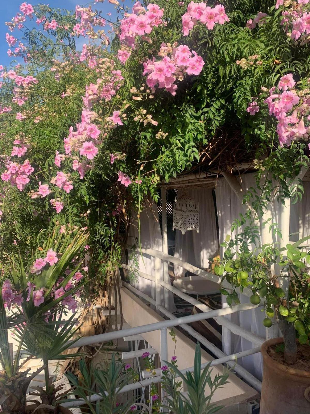 Made In Berbere Apartment Marrakesh Exterior photo